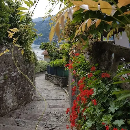 Apartman Flora *