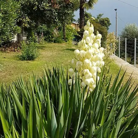 شقة Flora