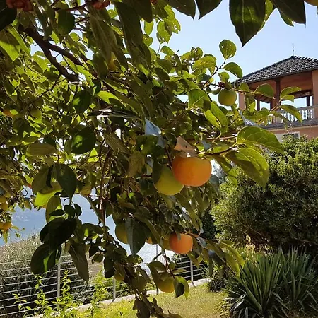 Flora Διαμέρισμα *