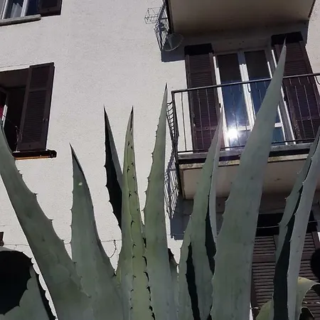Flora مولترازْيو