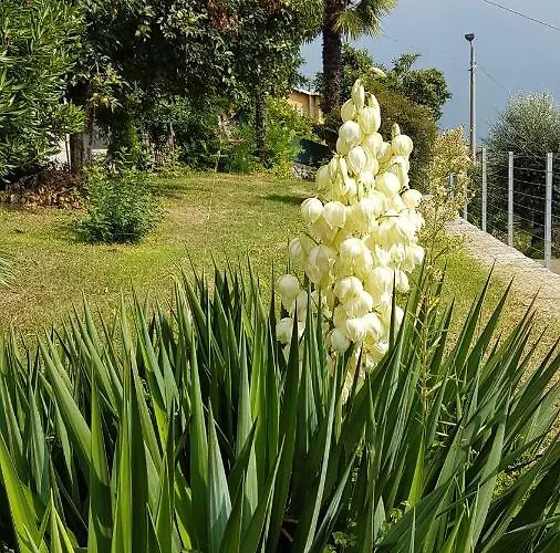 Διαμέρισμα Flora