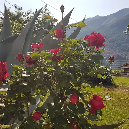 Διαμέρισμα Flora