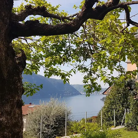 Flora Διαμέρισμα Moltrasio