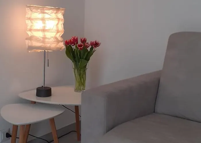 Flora * מולטראזיו